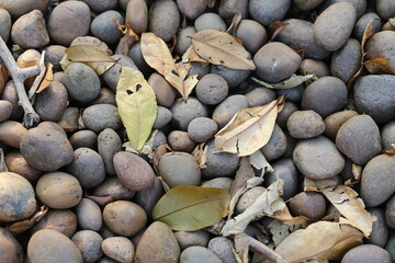 pebbles on the beach