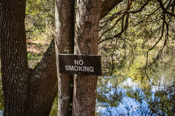 No smoking sign on tree