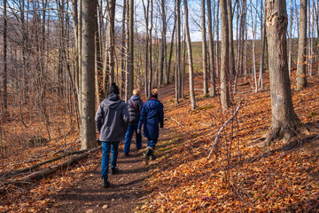 Bruce Trail Fall Hike