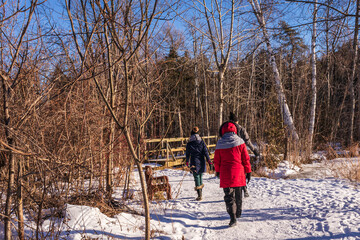 Winter hike in Pear Tree Park