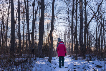 Winter Hike in Pear Tree Park