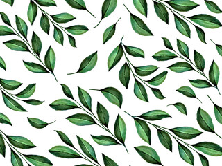 Tropical leaves background. Vector elements on the white background.