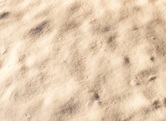 Snow in the early morning in the forest