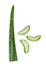Isolated fresh aloe vera on white background