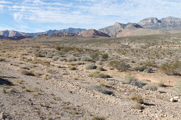 landscape in the desert