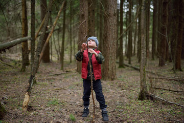 Naklejka na ściany i meble Little boy in red vest is playing with big branch and having fun in coniferous forest on early spring day. Outdoor activity for children.