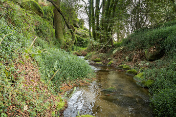 route of the mills of samieira, poio, pontevedra