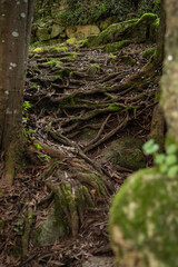 route of the mills of samieira, poio, pontevedra