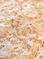 Raw yeast dough baking cooking texture background macro photo