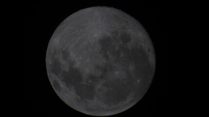 Fototapeta premium moon