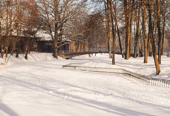 Winter landscape city park, morning