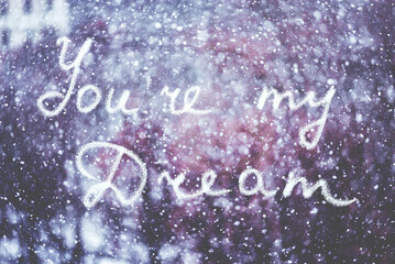 You are my dream, written by hand on the snowstorm winter background, toned