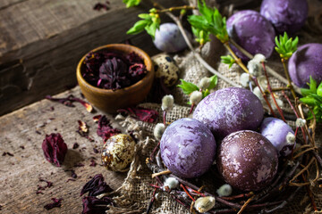 Obraz na płótnie Canvas Easter egg dye purple. Homemade Eggs are painted with natural egg dye from dried hibiscus flowers on rustic table. Copy space.