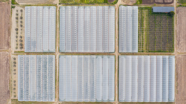 Vista aerea tende in policarbonato per serre agricole 