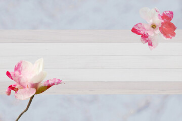 Beautiful blooming magnolia flower border background.
