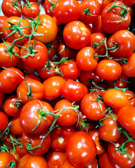 tomatoes in a vegetable store