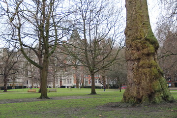 park in spring