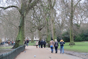 Fototapeta premium people walking in park