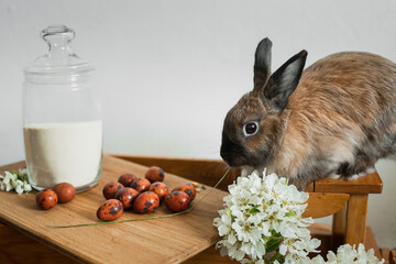 The bunny sits on a wooden typewriter decorated with quail eggs and spring flowering.