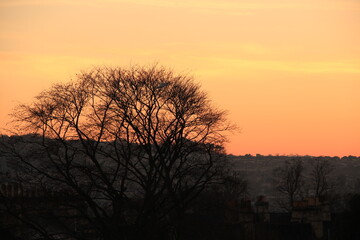 Fototapeta premium sunset in the park