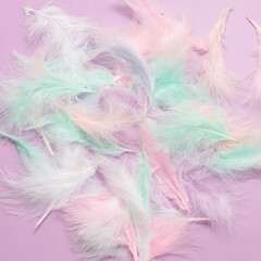 Multi-colored pastel feathers on purple background