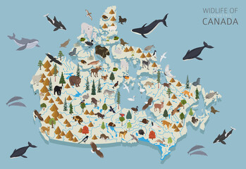 Isometric 3d design of Canada wildlife. Animals, birds and plants constructor elements isolated on white set. Build your own geography infographics collection.