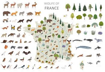 Flat design of France wildlife. Animals, birds and plants constructor elements isolated on white set. Build your own geography infographics collection. - obrazy, fototapety, plakaty