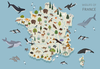 Isometric 3d design of France wildlife. Animals, birds and plants constructor elements isolated on white set. Build your own geography infographics collection.