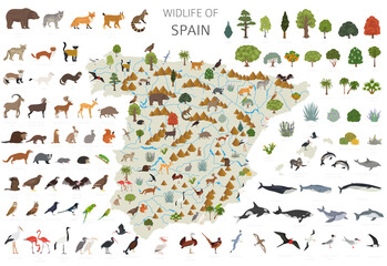 Flat design of Spain wildlife. Animals, birds and plants constructor elements isolated on white set. Build your own geography infographics collection
