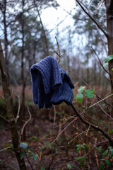 Lost glove on Hindhead common