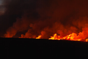Fototapeta na wymiar fire in the field