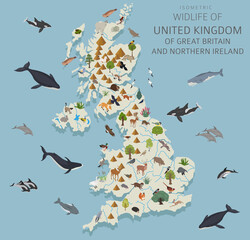 Isometric 3d design of United Kingdom wildlife. Animals, birds and plants constructor elements isolated on white set. Build your own geography infographics collection