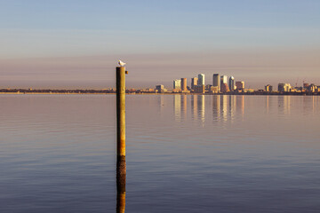 Obraz premium Skyscrapers in background across the bay