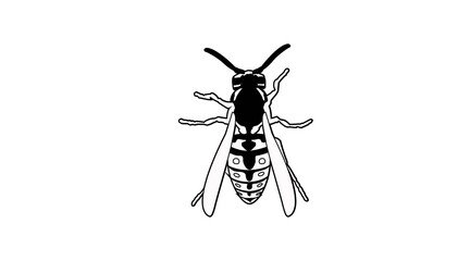 Vector Isolated Black and White Illustration of a Wasp. Wasp Icon