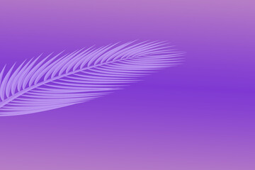 Palm leaves on pale violet background. Minimal concept. Copy space