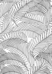 Seamless pattern, coloring page with palniy leaves in A4 size for adults, colorless vector stock illustration with colorless exotic plant