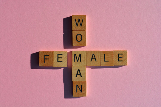 Woman, Man, Female, Male, words