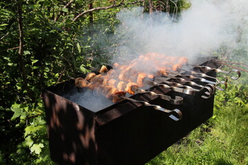 fire and meat