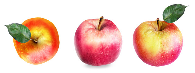 Color apples on white background