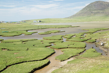 Salt marshland on Isle of Harris