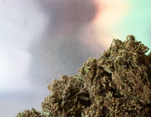 Un cogollo de cannabis, grande y resinoso, sobre un fondo abstracto de color plateado, con tonos...