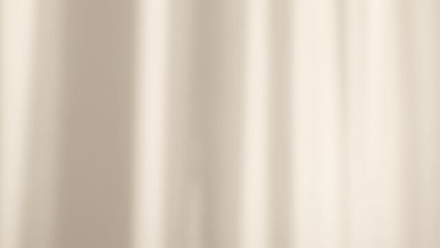 Day soft light from the window on the wall, the transparent shadow from the curtain is moving, blurry moving shadows on the wall. Morning sun in room, background overlay.