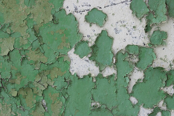 Green peeling paint on the wall. Old concrete wall with cracked flaking paint. Weathered rough painted surface with patterns of cracks and peeling. High resolution texture for background and design.