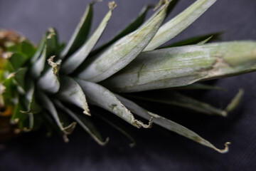 Pineapple stem on a table with dark tablecloth