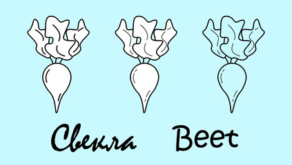 Beet. A set of three objects with the inscription 