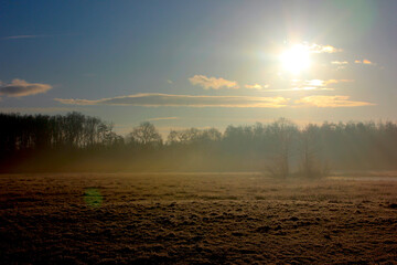 Bright sunlight illuminates a Dutch pasture landscape on the early winter morning.