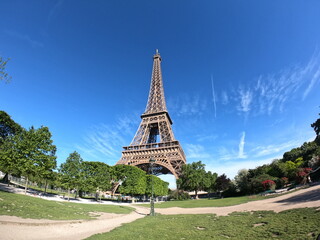 Fototapeta premium eiffel tower
