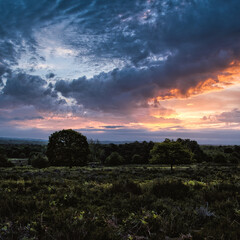 Dramatischer Sonnenaufgang in der Heide