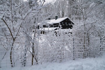Winter im Erzgebirge