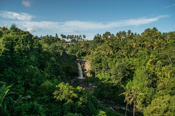 Fototapeta na wymiar Tegalalang waterfall in Indonesia